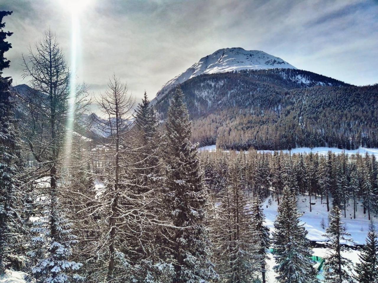 Schloss Hotel & Spa Pontresina Εξωτερικό φωτογραφία